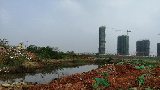 1558077713814836.jpg 图片1.jpg