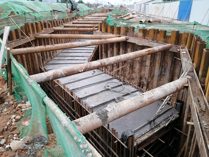 1575423911688647.jpg IMG_20191129_083150.jpg